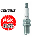 NGK Spark Plugs