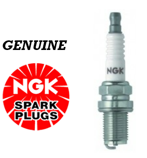 NGK Spark Plugs